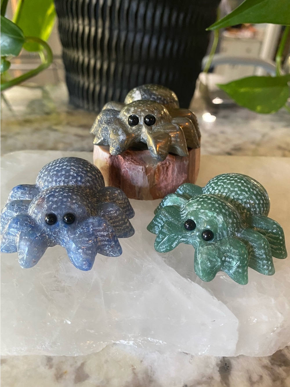 🕷️✨ THE CUTEST LITTLE CREEPY-CRAWLIES HAVE ARRIVED! ✨🕷️